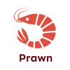 prawn